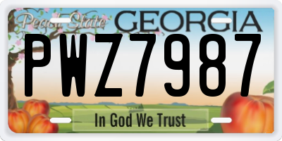 GA license plate PWZ7987