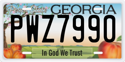 GA license plate PWZ7990
