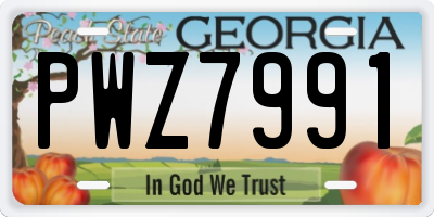 GA license plate PWZ7991