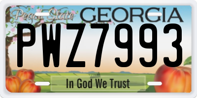 GA license plate PWZ7993