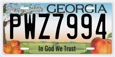 GA license plate PWZ7994