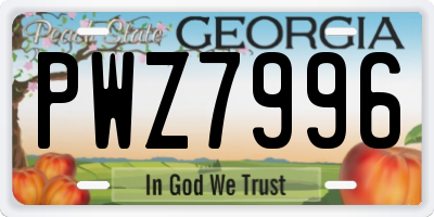 GA license plate PWZ7996