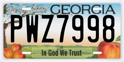 GA license plate PWZ7998