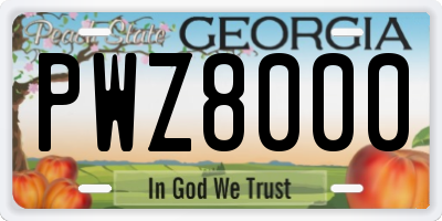 GA license plate PWZ8000