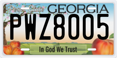GA license plate PWZ8005