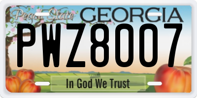 GA license plate PWZ8007