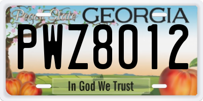 GA license plate PWZ8012