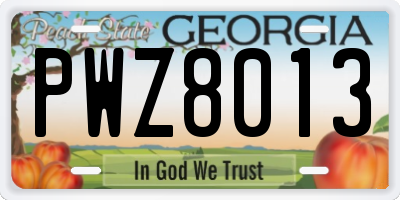 GA license plate PWZ8013