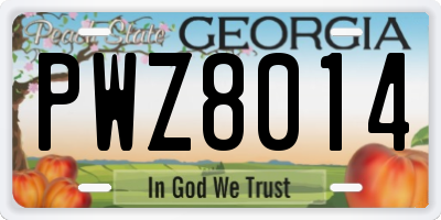 GA license plate PWZ8014