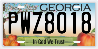 GA license plate PWZ8018
