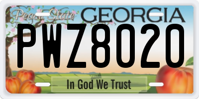 GA license plate PWZ8020