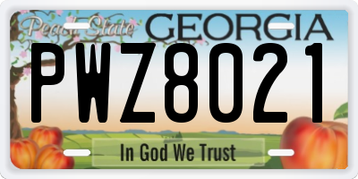 GA license plate PWZ8021