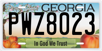 GA license plate PWZ8023