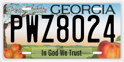 GA license plate PWZ8024