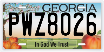 GA license plate PWZ8026