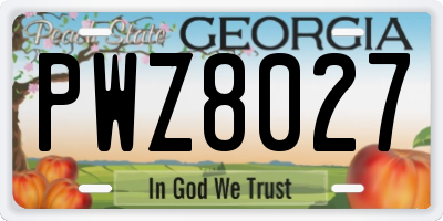 GA license plate PWZ8027