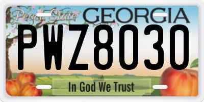 GA license plate PWZ8030