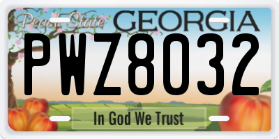 GA license plate PWZ8032
