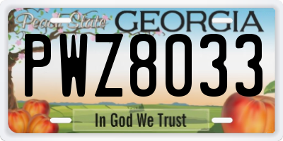 GA license plate PWZ8033