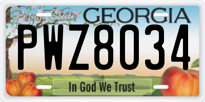 GA license plate PWZ8034
