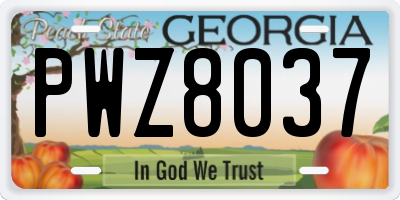 GA license plate PWZ8037
