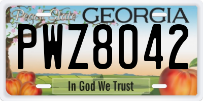 GA license plate PWZ8042