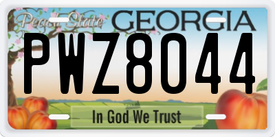 GA license plate PWZ8044