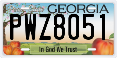 GA license plate PWZ8051