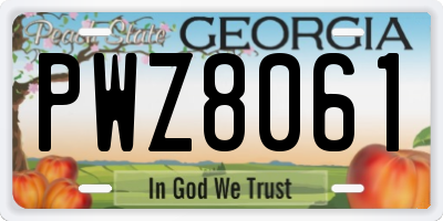 GA license plate PWZ8061
