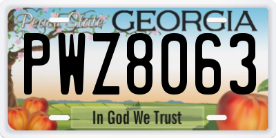 GA license plate PWZ8063
