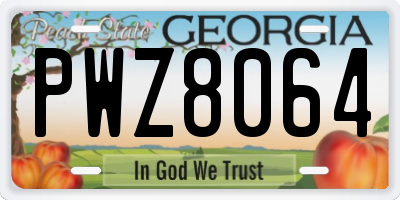 GA license plate PWZ8064