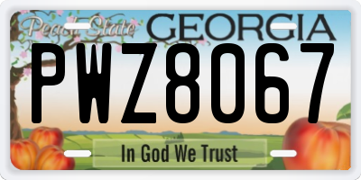 GA license plate PWZ8067