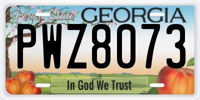 GA license plate PWZ8073
