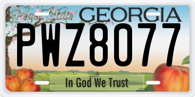 GA license plate PWZ8077