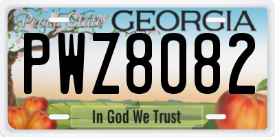 GA license plate PWZ8082