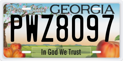 GA license plate PWZ8097