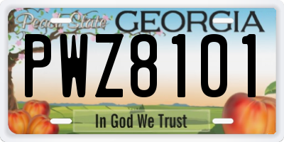 GA license plate PWZ8101