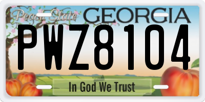 GA license plate PWZ8104