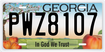 GA license plate PWZ8107