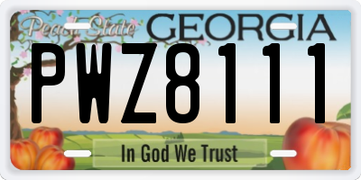 GA license plate PWZ8111
