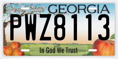 GA license plate PWZ8113