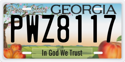 GA license plate PWZ8117