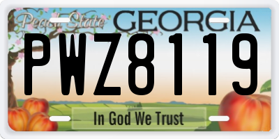 GA license plate PWZ8119