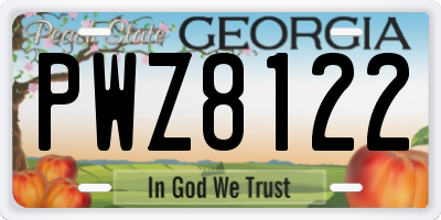 GA license plate PWZ8122