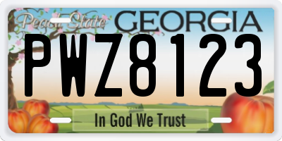 GA license plate PWZ8123