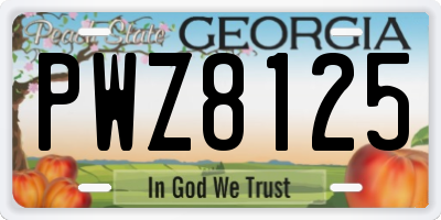 GA license plate PWZ8125