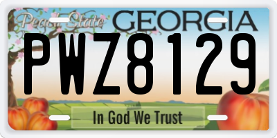 GA license plate PWZ8129