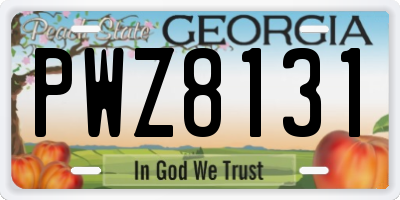 GA license plate PWZ8131
