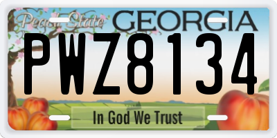 GA license plate PWZ8134