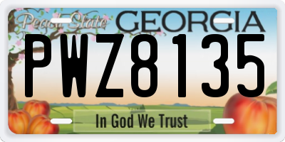 GA license plate PWZ8135